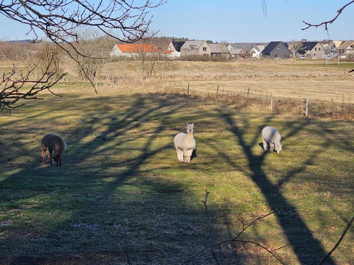 Attefallshus Naera Havet Norranaes Varberg Exterior foto